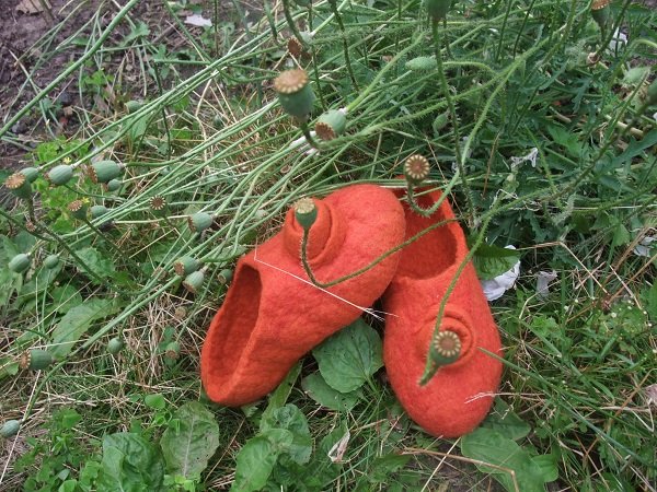 oranžas 1