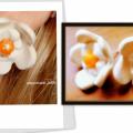 Earrings " White Lily " - Earrings - beadwork
