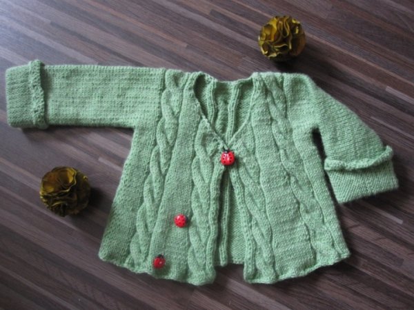 Children's sweater " Ladybirds šeimynėlė " - Children clothes