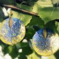 Earrings - Earrings - beadwork