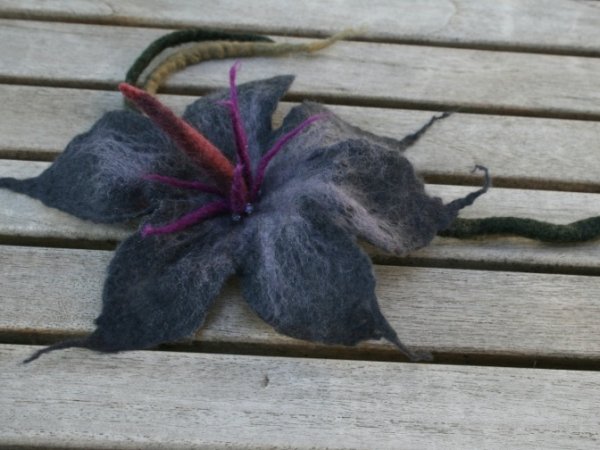 Sage "Pilkumas " 2