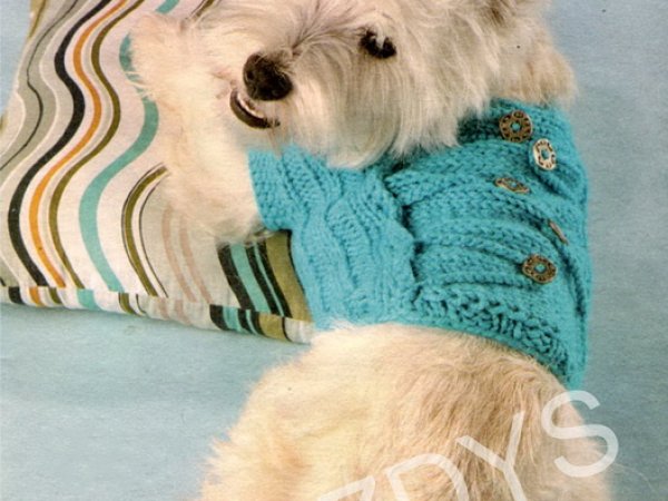 dog vest 2