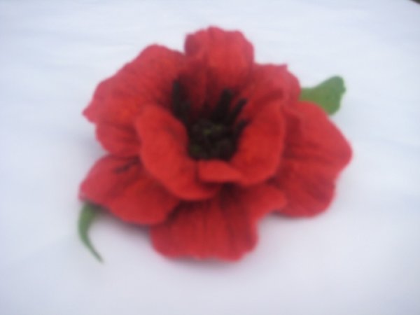 Aguona 3