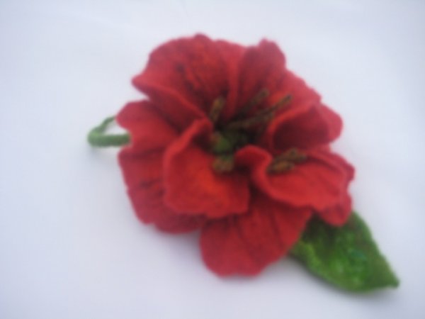 Aguona 3