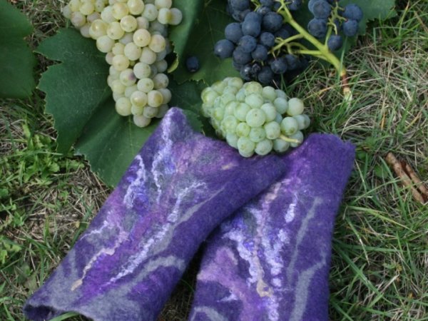Riesines "Vynuoges "-1 2