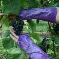 Riesines " Grapes " -2 - Wristlets - felting