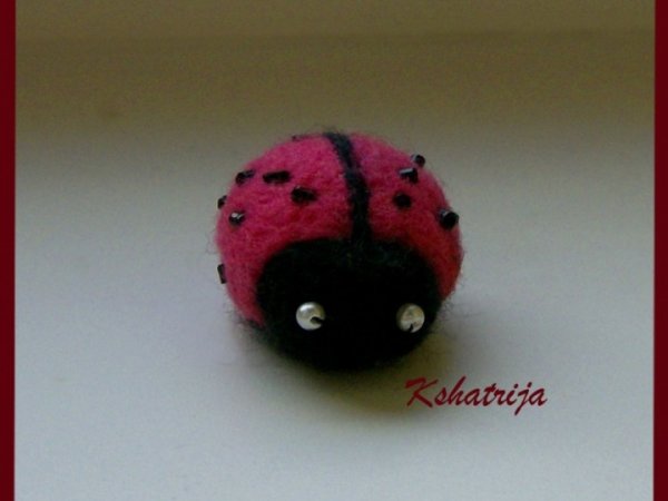 Pink ladybird 2