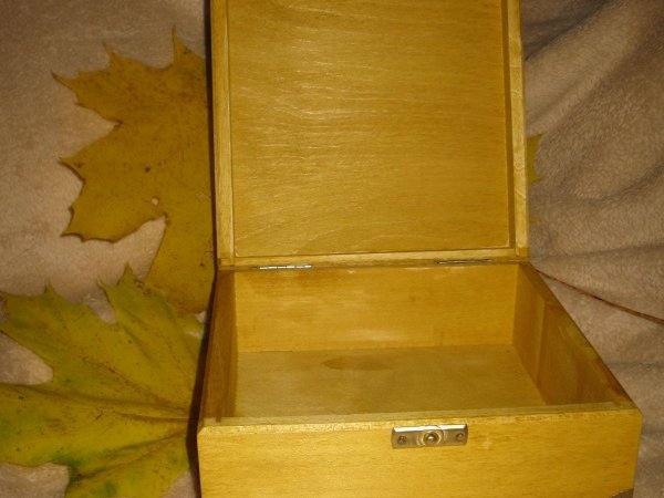 dėžutė RUDUO 3