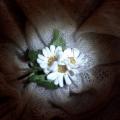 Chamomile - Flowers - felting