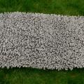 Carpet " Hedgehog " - Knittings for interior - knitwork