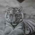Tiger - Pencil drawing - drawing