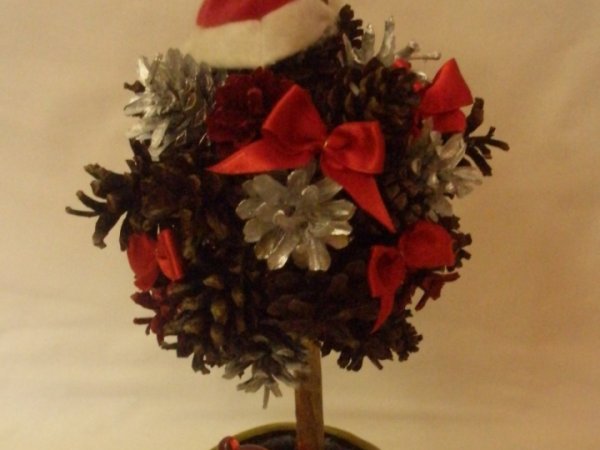 We were getting ready for Christmas - Floristics