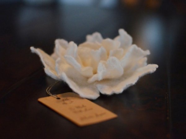 White wild poppy 2