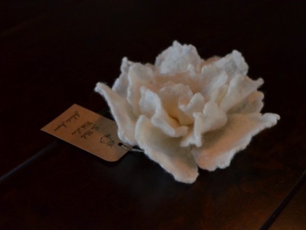 White wild poppy 3