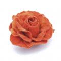 Orange Rose - Flowers - felting
