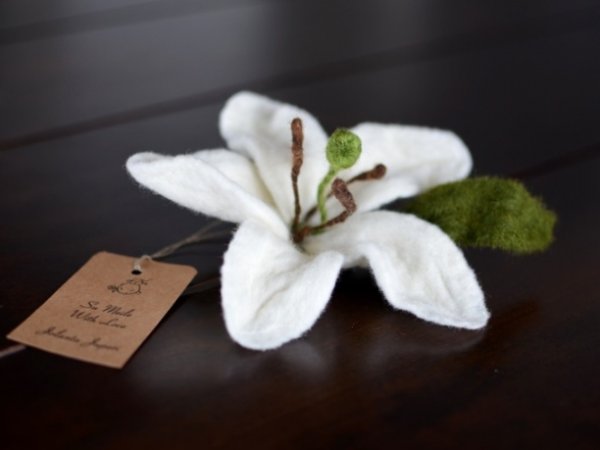 Lily - Sagės