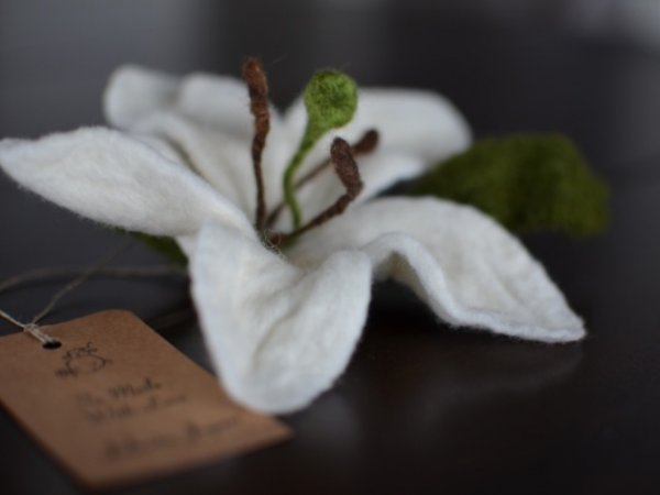 Lily 2