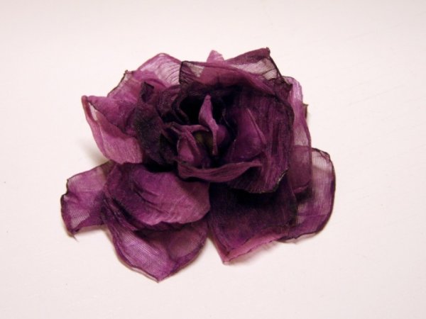 Sage "Garbane " 2