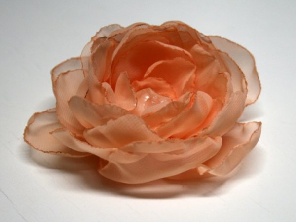Sage "Persiko ziedas " 2