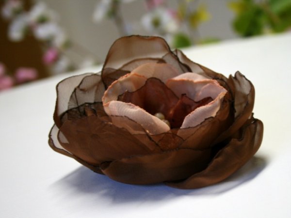 Sage " caramel Schokolade " 2