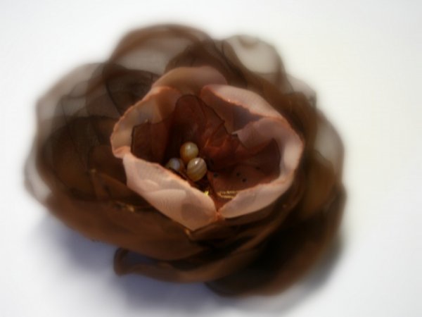 Sage " caramel Schokolade " 3