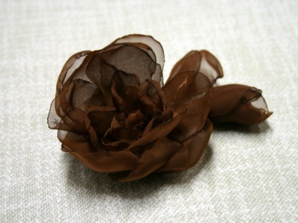Sage "Schokoladine roze " 2