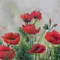Among poppy - Acrylic painting - drawing