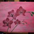 Orchid - Acrylic painting - drawing