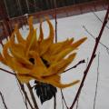 Sunflower - Flowers - felting