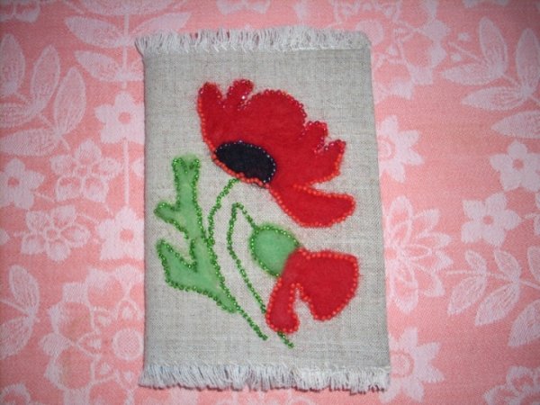 Poppy - Notebooks