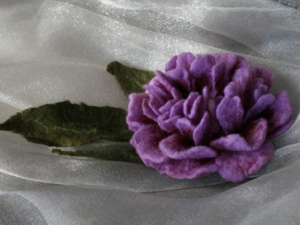 Sage  "Pfingstrose " 2