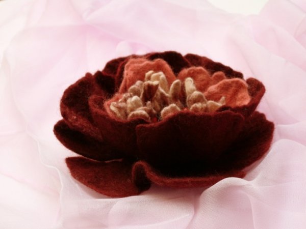 Roze "Clementina  Carbonieri " 2