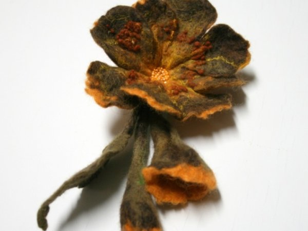 Sage "Tagetes " 2