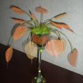 Vases decoration - Floristics - making