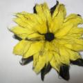 I want to color :) - Flowers - felting
