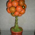 Mandarin tree - Floristics - making