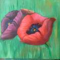 Poppies - Acrylic painting - drawing