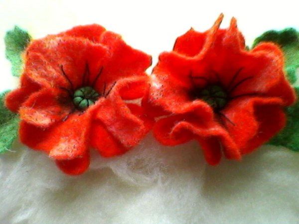 Aguonos 2
