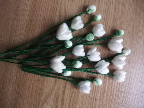 Snowdrops - For interior