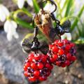 Spring uogyte - Earrings - beadwork