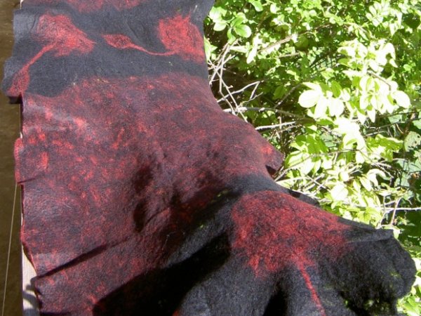 voratinklinis dvipusis 2