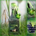 Frog joy :) - Decorated bottles - making