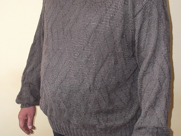 Masculine sweater - Sweaters & jackets