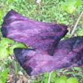 purple dusk - Wristlets - felting