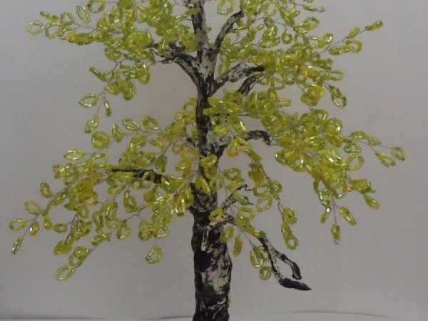 Birch - Biser