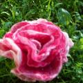 Rose magnificent - Flowers - felting