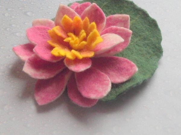 Pink water lily - Flowers