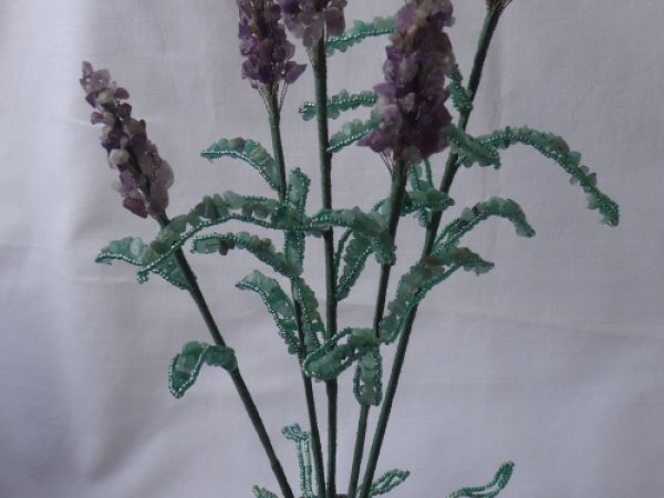 Lavanda 2