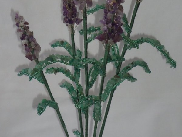 Lavanda 3