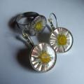 Earrings and ring " Daisies " - Kits - beadwork